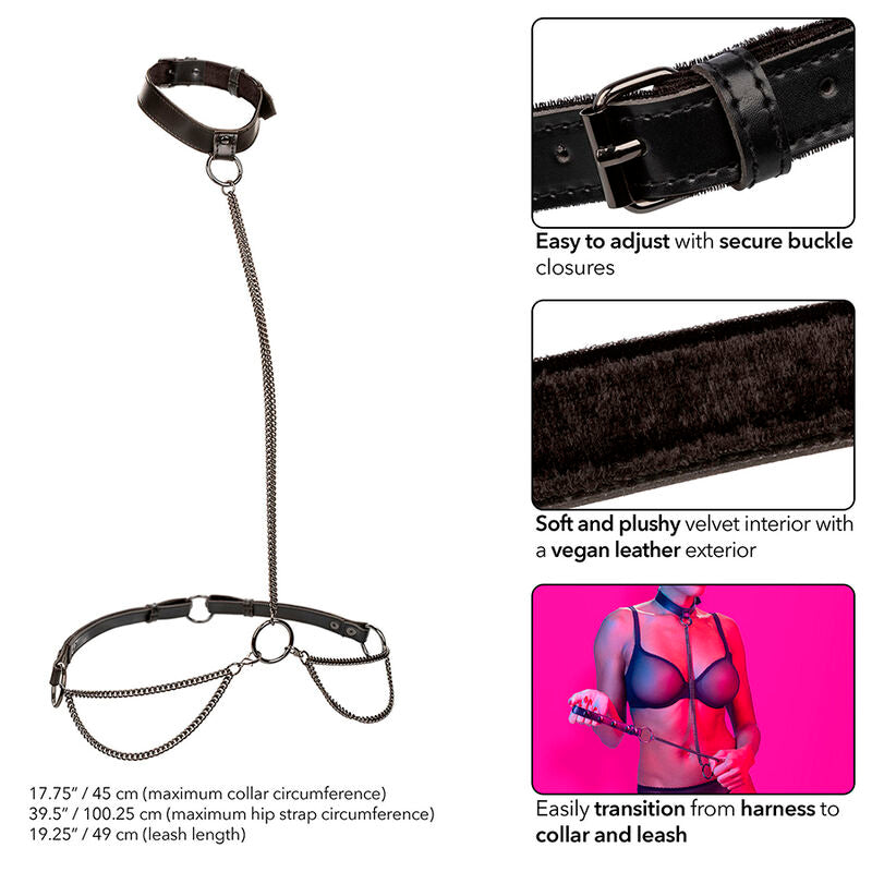 Collier et Laisse BDSM Euphoria Cuir Végan Chaîne Métal Réglable - CalExotics