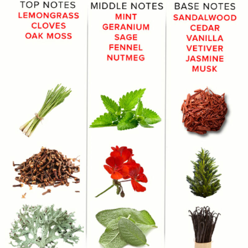 Parfum Phéromones Romantic Deluxe 50 ml Notes Boisées - Eye Of Love