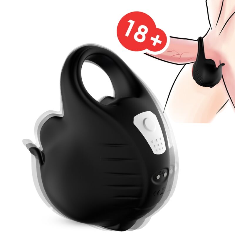 Cockring Armony à coque testiculaire vibrante, schéma de port sur le corps en encart