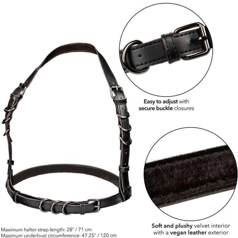 Harnais Licol Euphoria Boucle Réglable Vegan - Calexotics