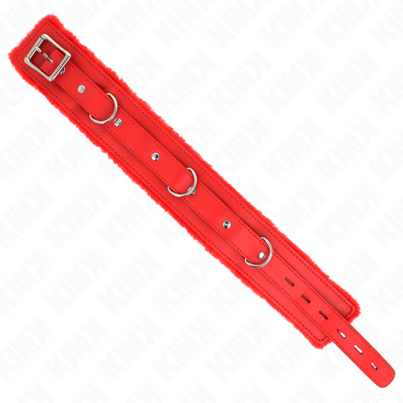 Collier BDSM avec Laisse Métallique 65 cm Réglable 36-42 cm - Kink