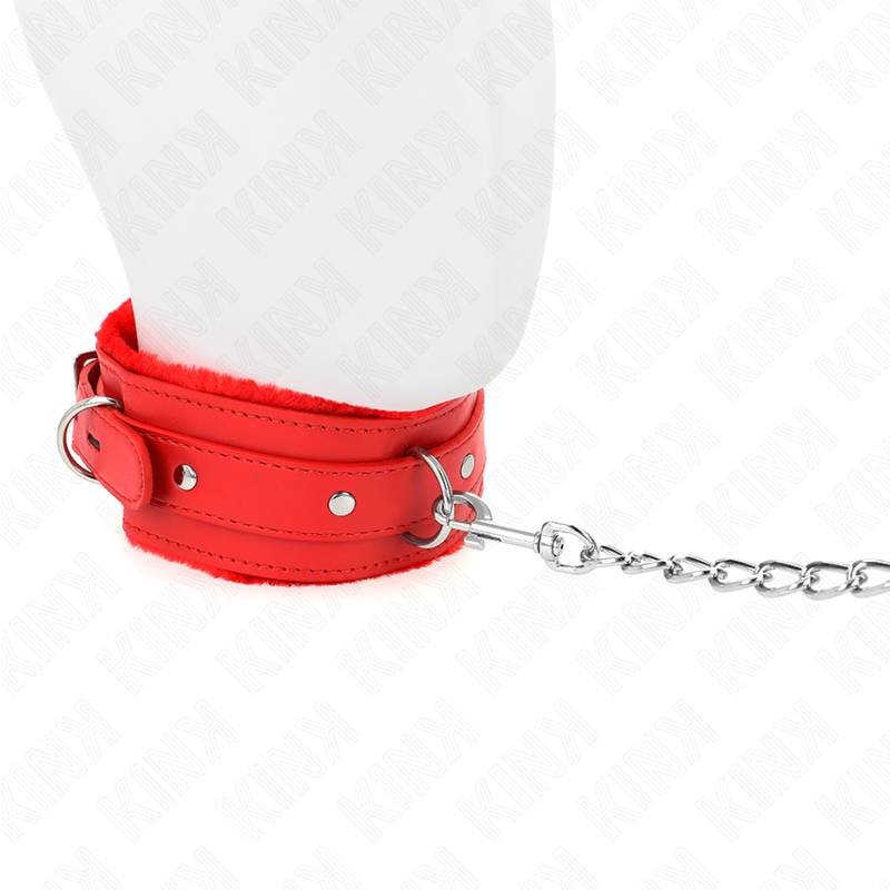 Collier BDSM avec Laisse Métallique 65 cm Réglable 36-42 cm - Kink