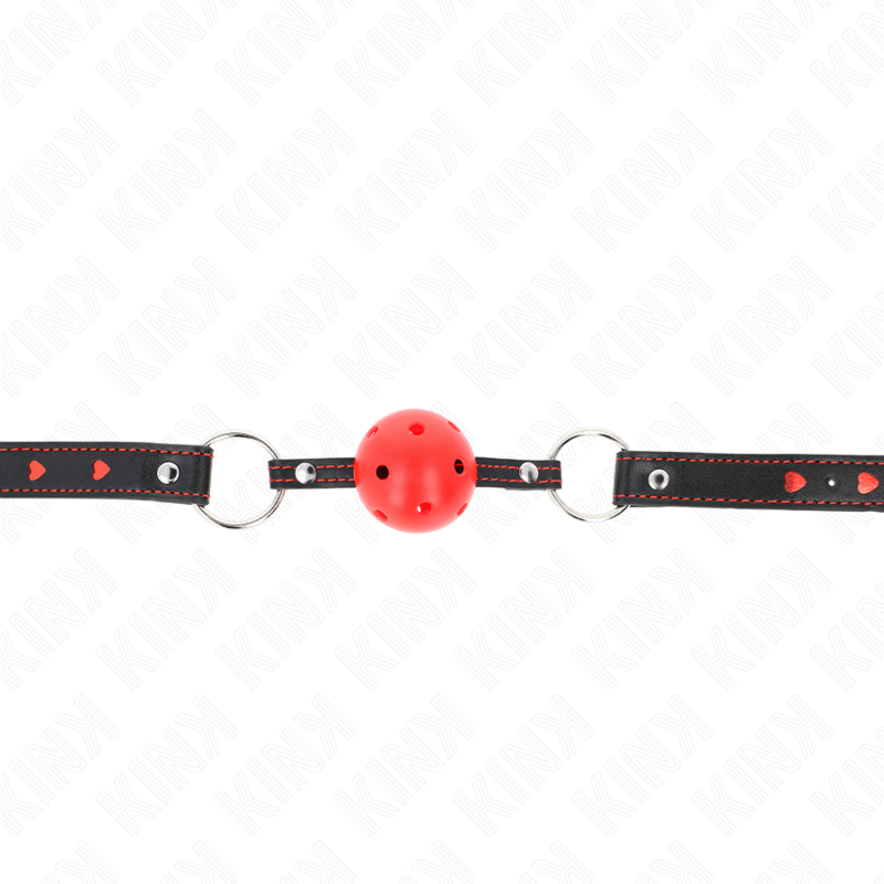 Bâillon Bit Gag Creux Barre Réglable BDSM - Kink